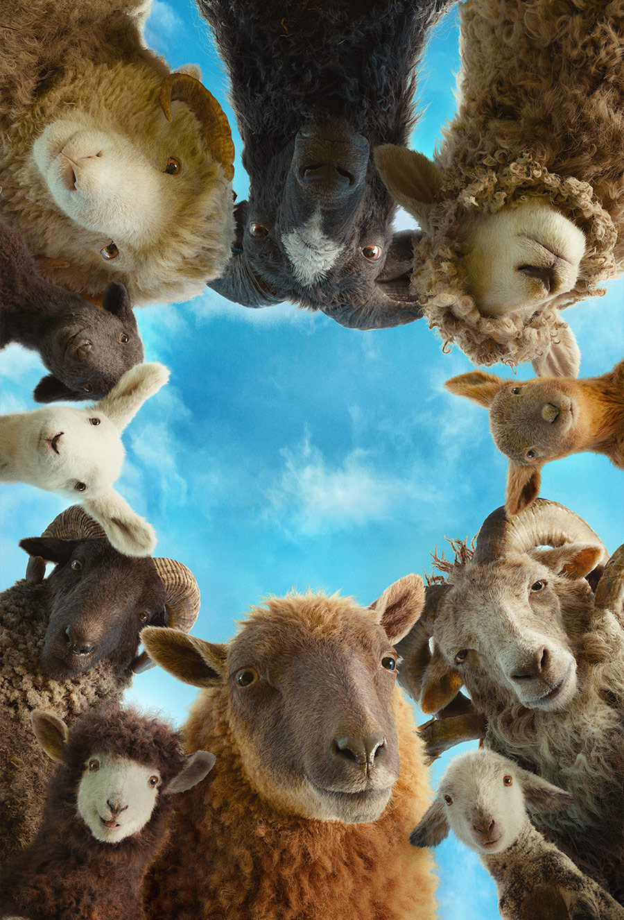 BOND | The Sheep Detectives
